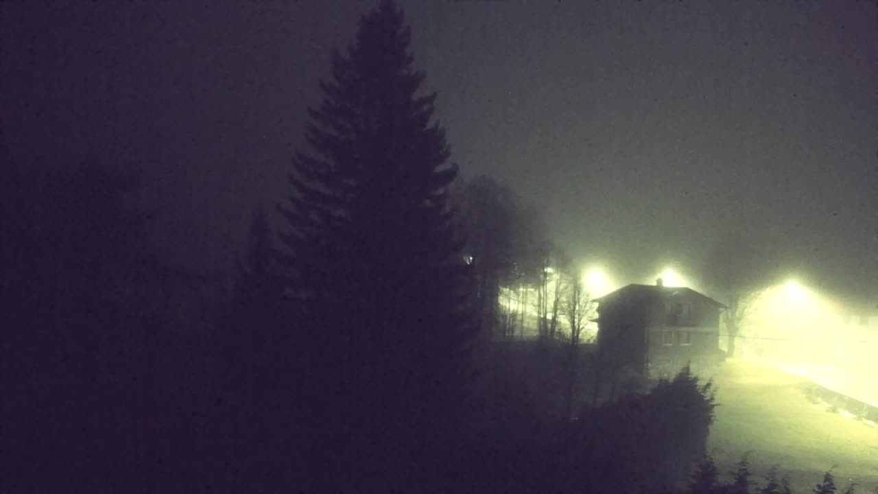 Webcam Lokve – The beauty of the Trnovo forest