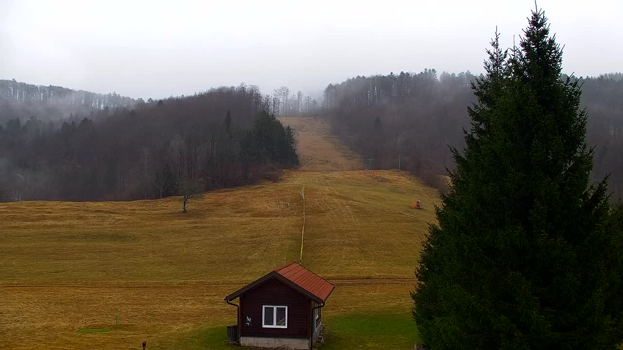 Webcam Lokve – La beauté de la forêt de Trnovo