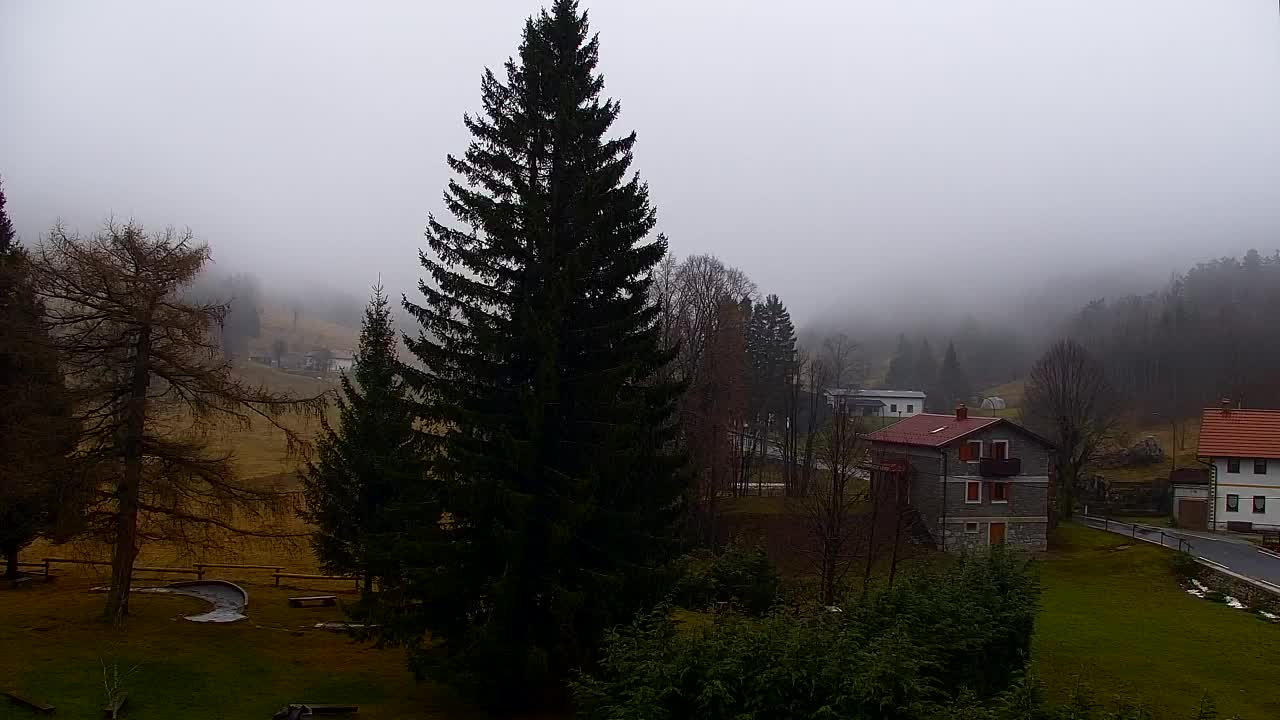 Webcam Lokve – The beauty of the Trnovo forest