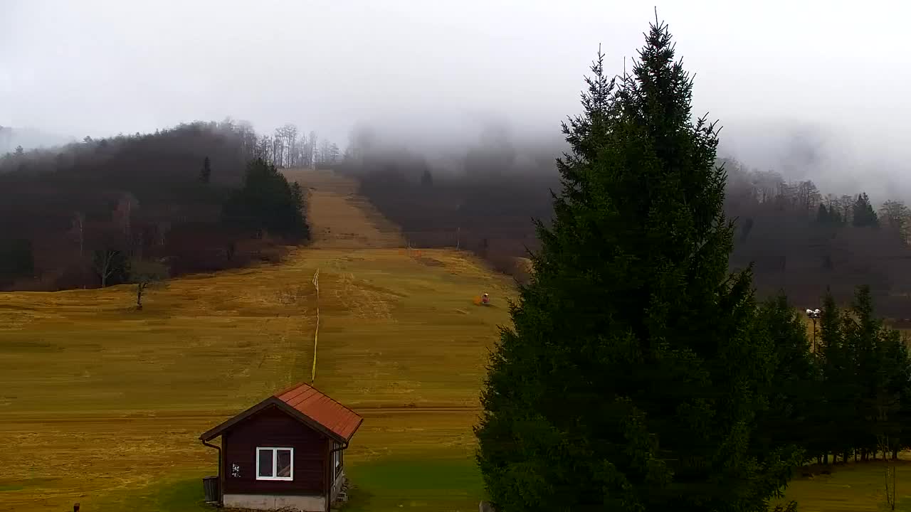 Webcam Lokve – La beauté de la forêt de Trnovo