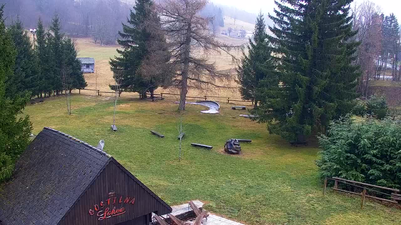 Webcam Lokve – The beauty of the Trnovo forest