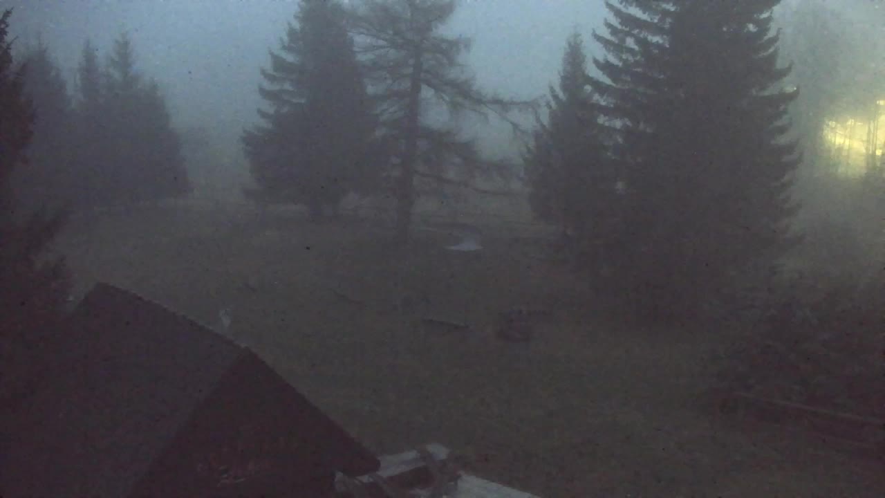 Webcam Loqua / Lokve – La bellezza della selva di Tarnova