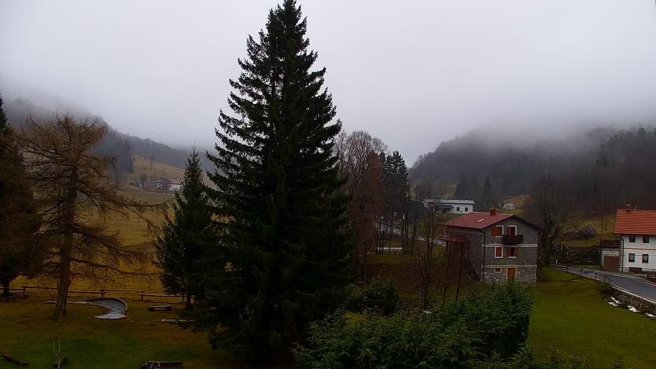 Webcam Lokve – The beauty of the Trnovo forest