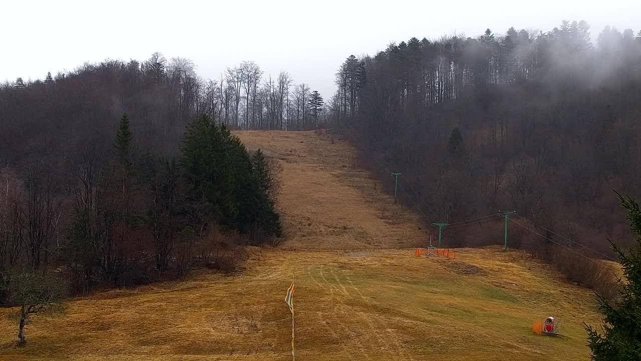 Camera en vivo Lokve – La belleza del bosque de Trnovo