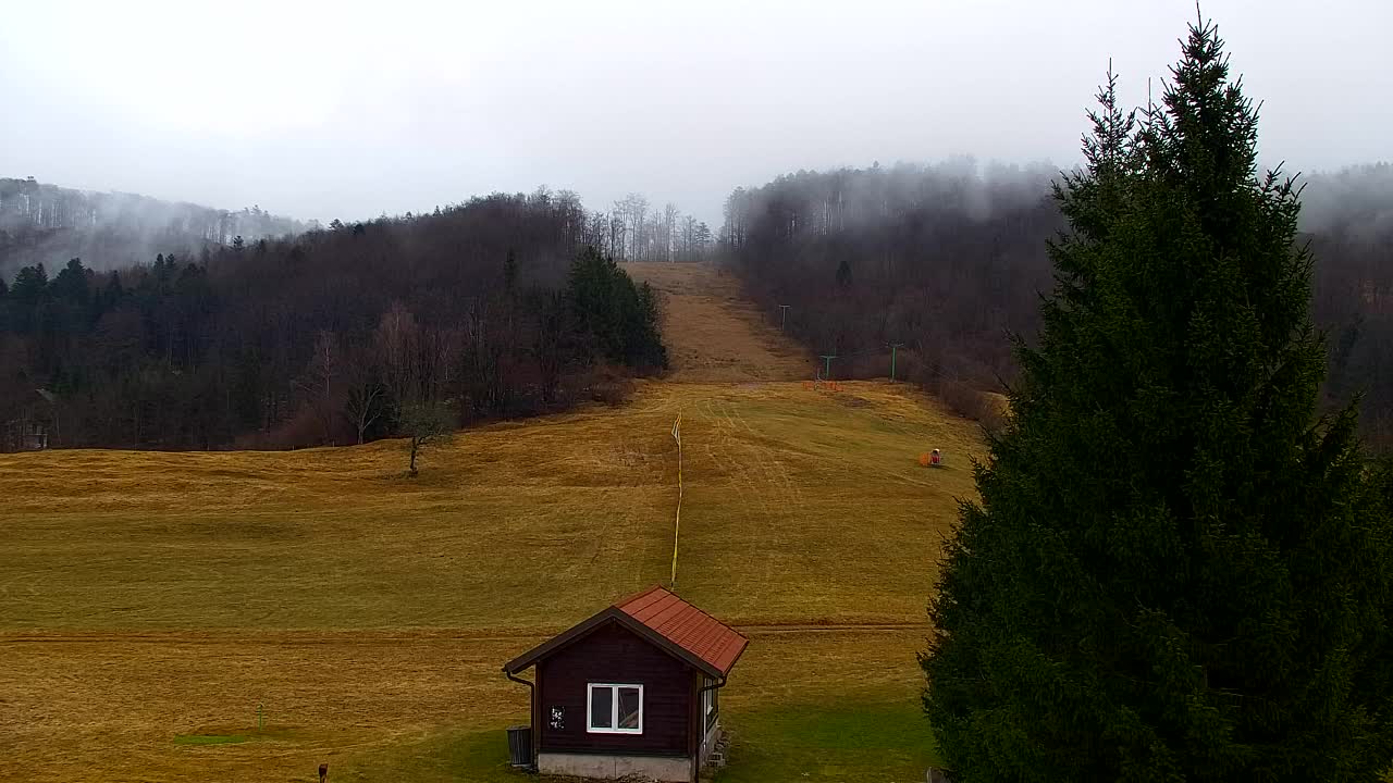 Webcam Lokve – La beauté de la forêt de Trnovo