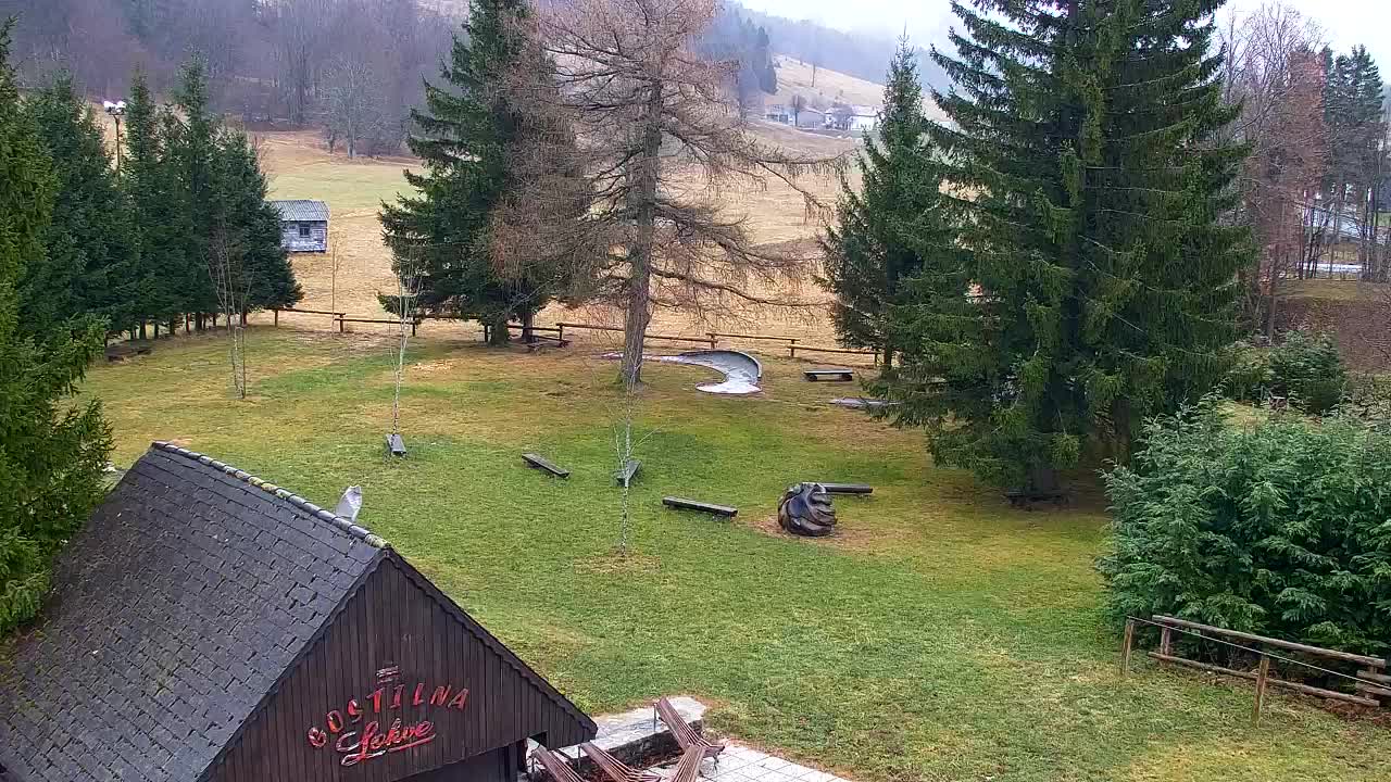 Webcam Loqua / Lokve – La bellezza della selva di Tarnova