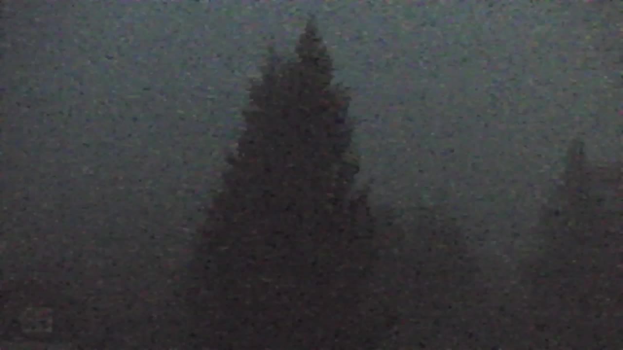 Webcam Lokve – The beauty of the Trnovo forest