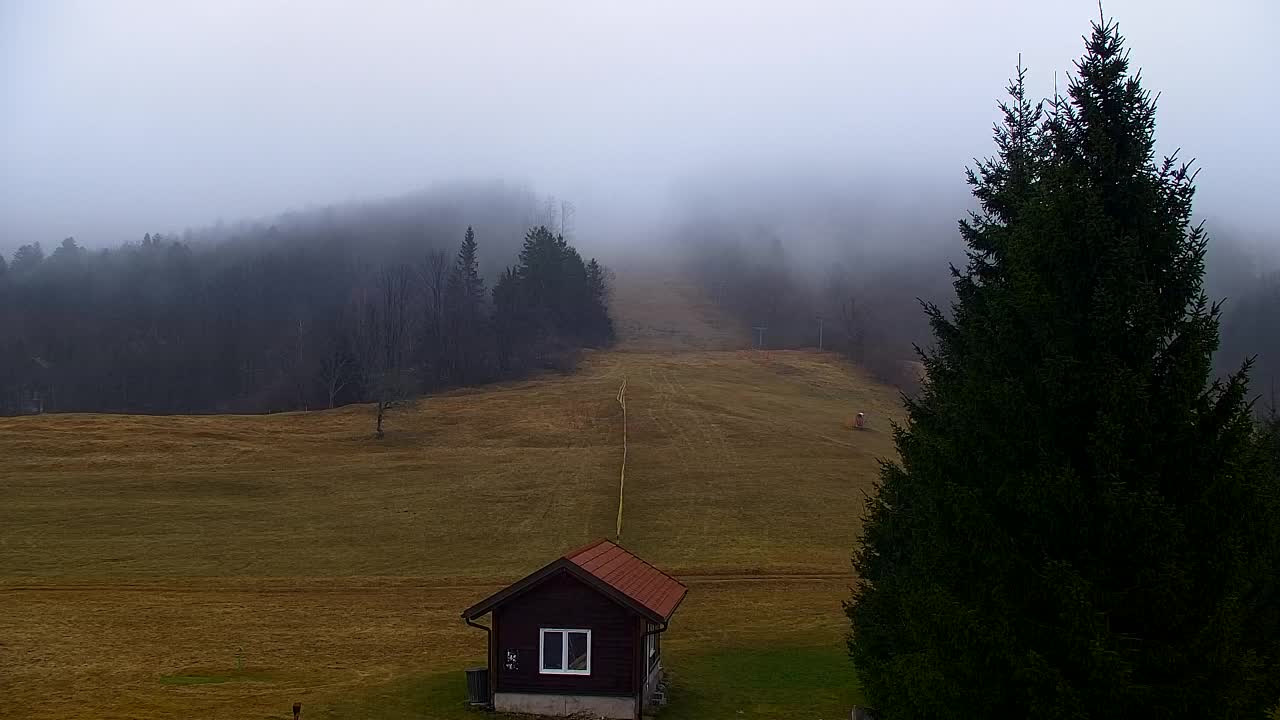 Webcam Lokve – La beauté de la forêt de Trnovo