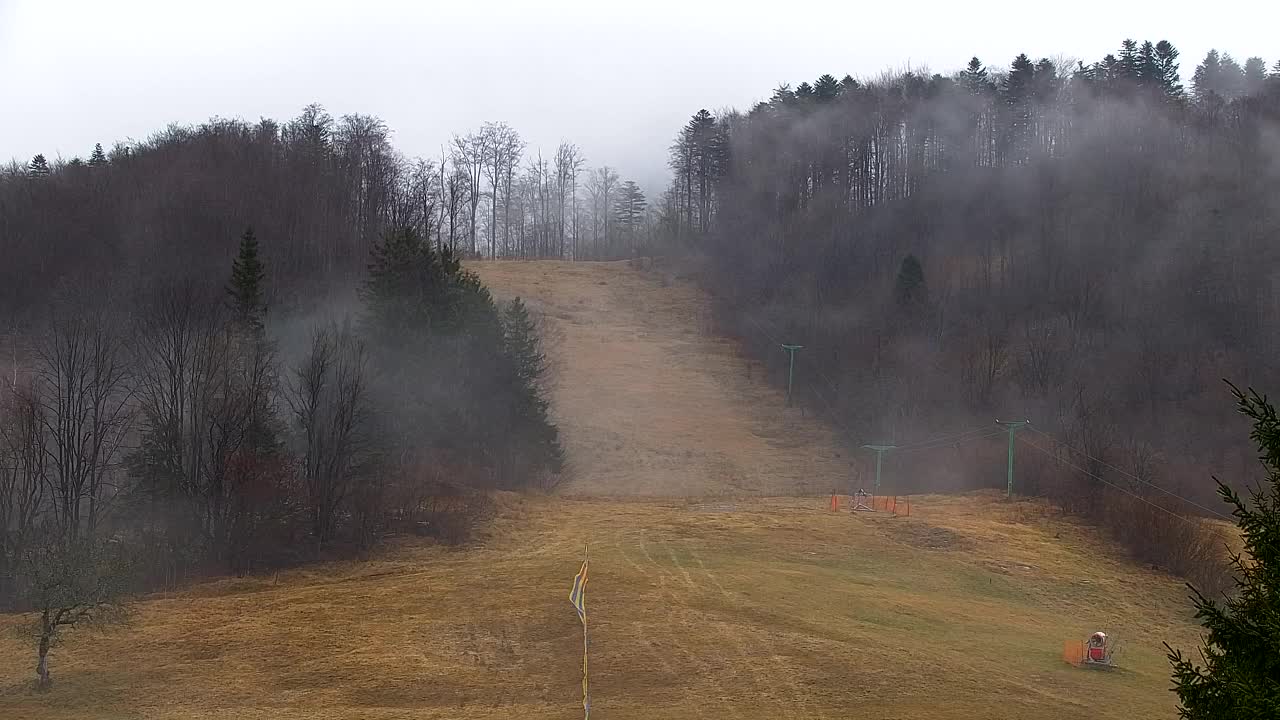 Webcam Lokve – The beauty of the Trnovo forest