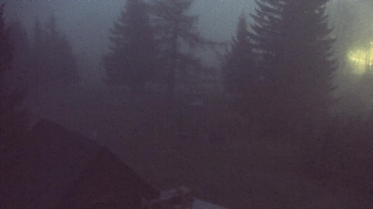 Webcam Lokve – La beauté de la forêt de Trnovo