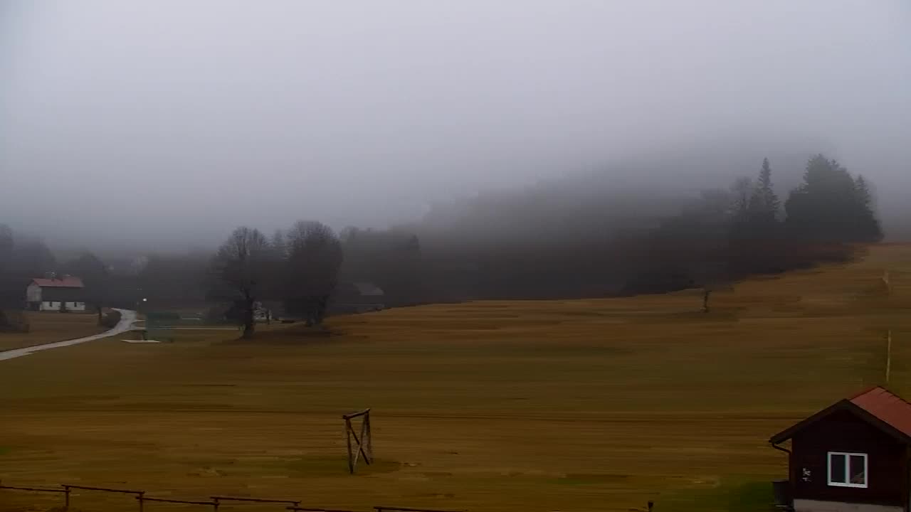 Webcam Lokve – The beauty of the Trnovo forest