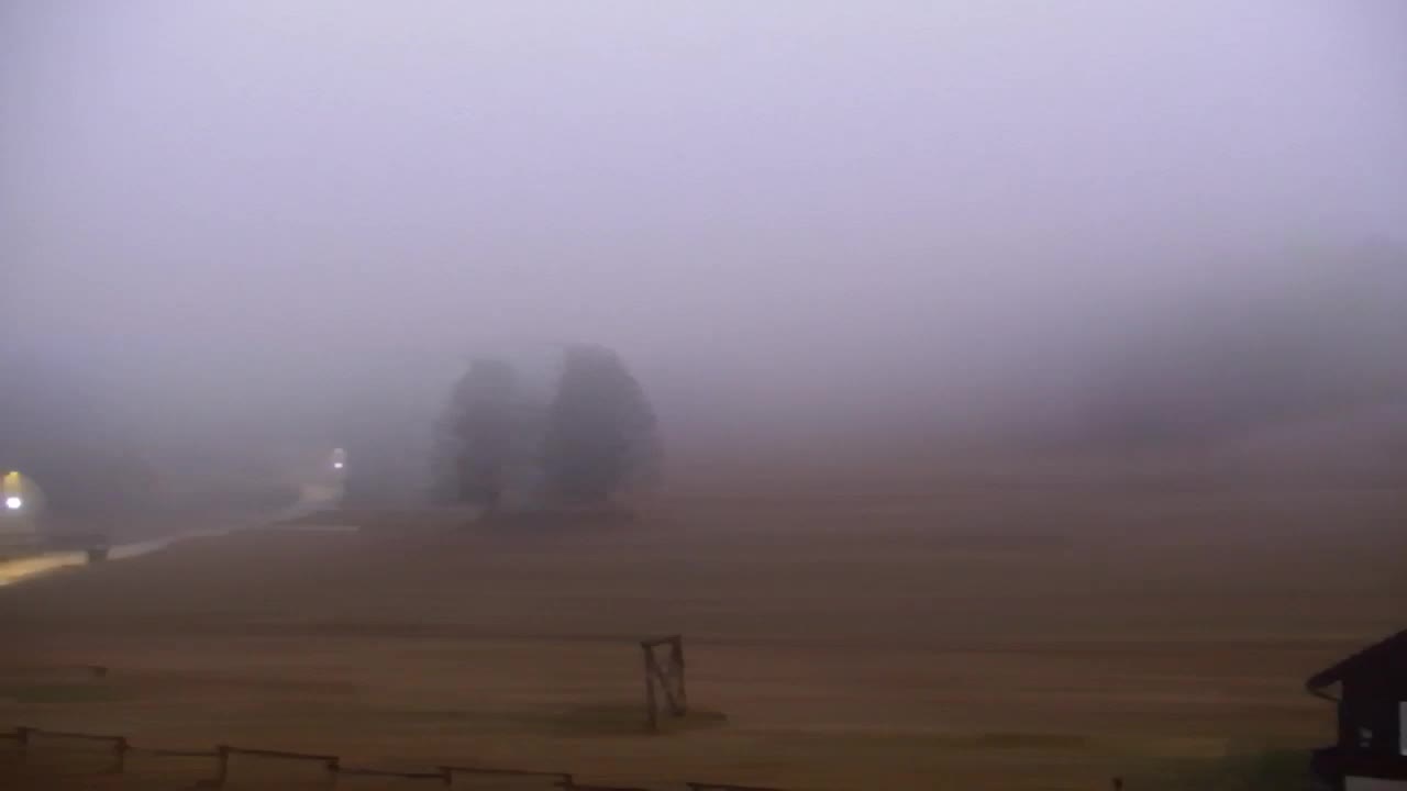 Lokve kamera – Naravne lepote Trnovskega gozda