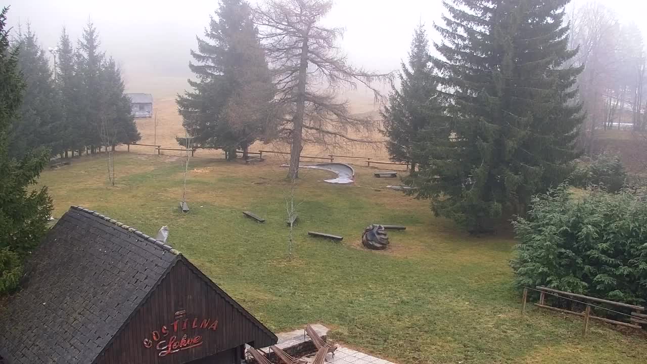 Webcam Lokve – The beauty of the Trnovo forest