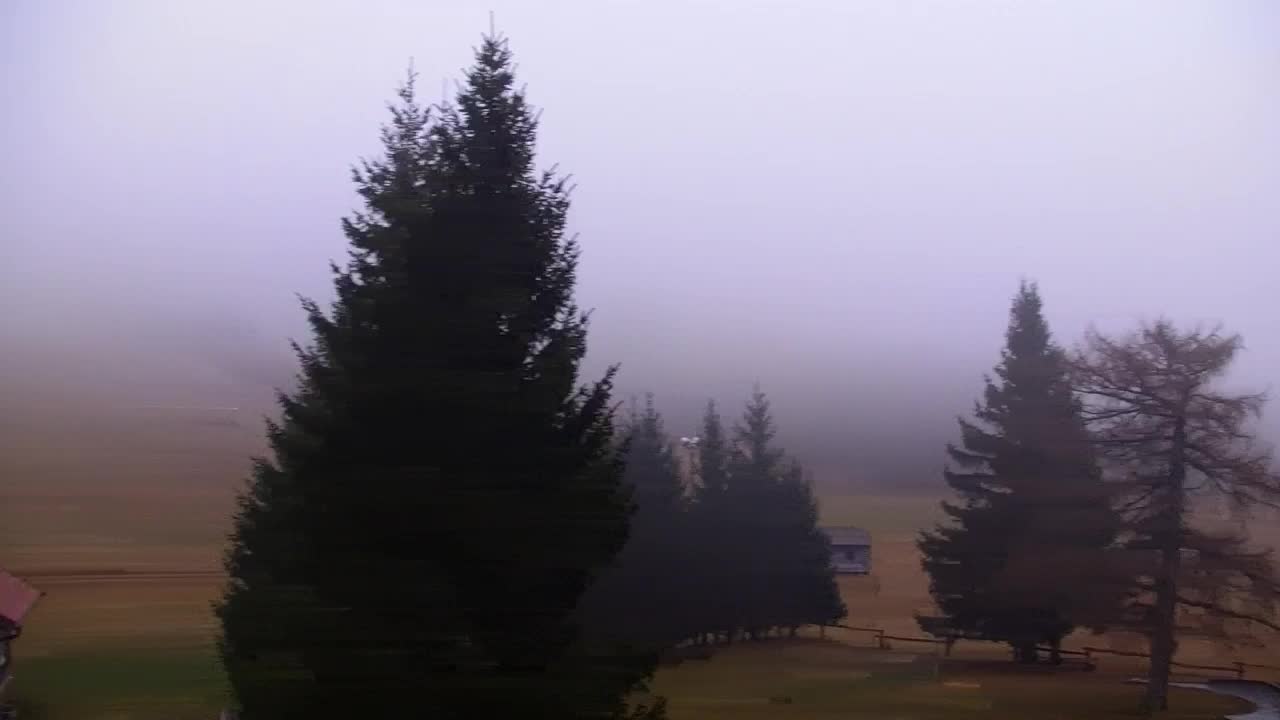 Webcam Loqua / Lokve – La bellezza della selva di Tarnova