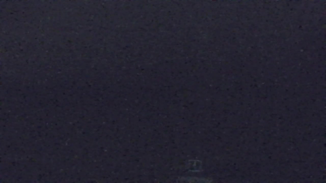 Webcam Lokve – La beauté de la forêt de Trnovo