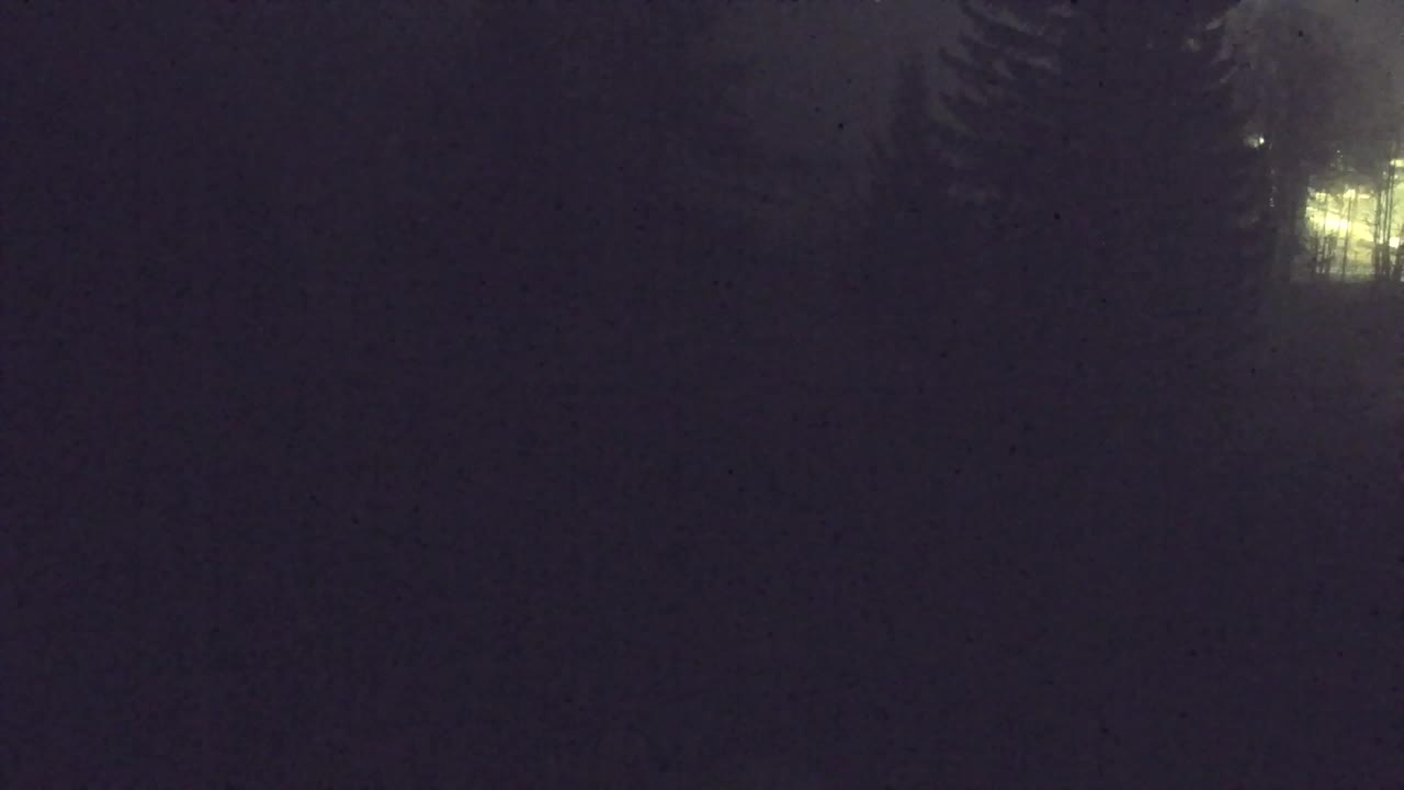 Webcam Loqua / Lokve – La bellezza della selva di Tarnova