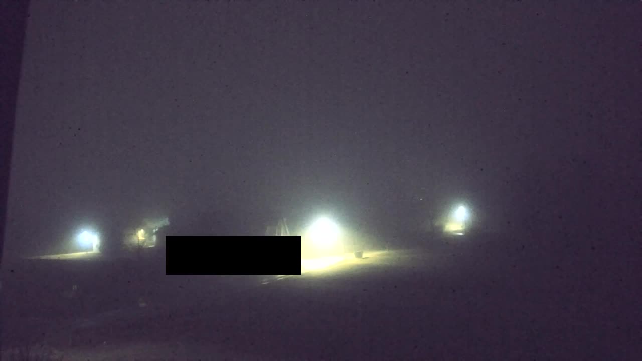 Webcam Loqua / Lokve – La bellezza della selva di Tarnova