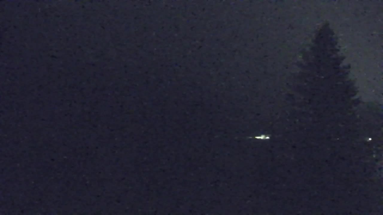 Web kamera Lokve – Ljepota Trnovske šume