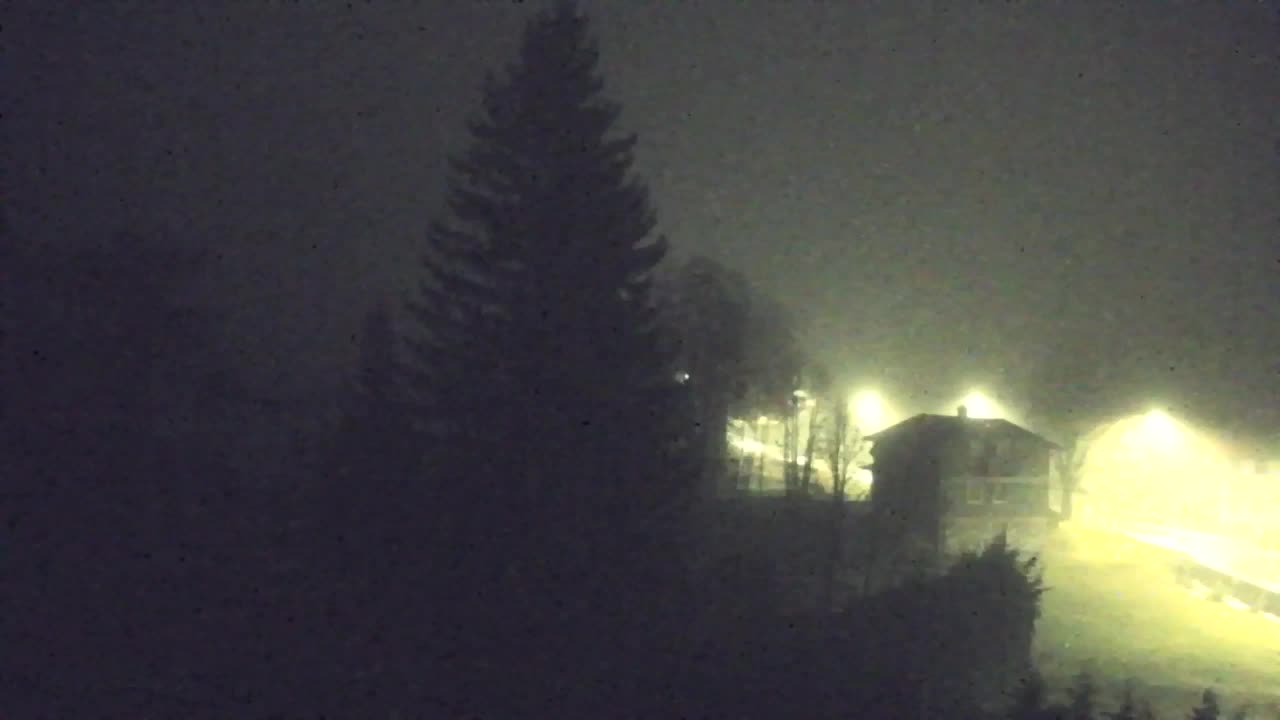 Web kamera Lokve – Ljepota Trnovske šume