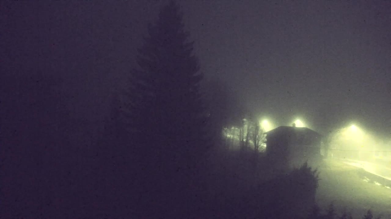 Webcam Lokve – La beauté de la forêt de Trnovo