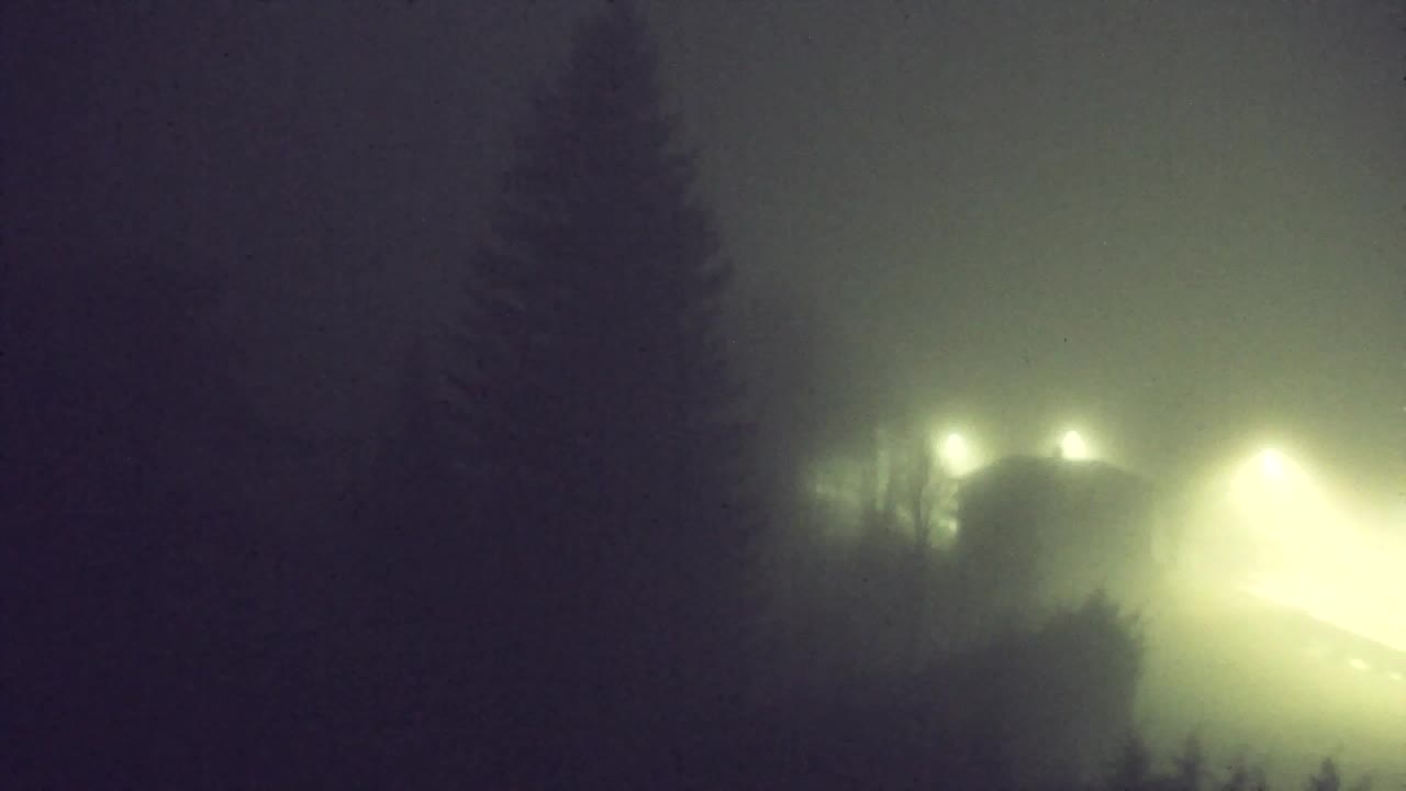 Webcam Lokve – The beauty of the Trnovo forest