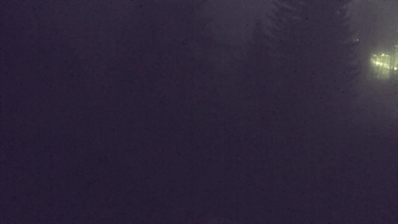 Web kamera Lokve – Ljepota Trnovske šume