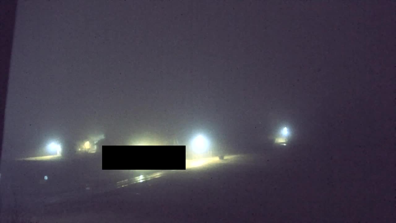 Webcam Lokve – La beauté de la forêt de Trnovo