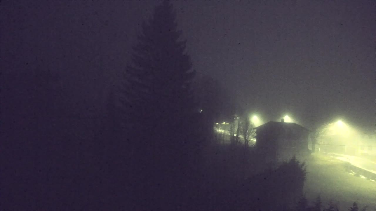 Webcam Lokve – Die Schönheit des Trnovo-Waldes