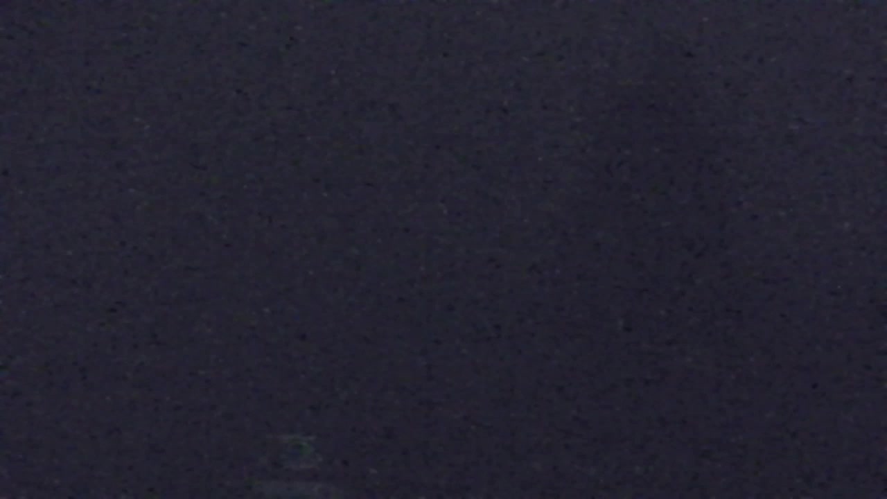 Webcam Loqua / Lokve – La bellezza della selva di Tarnova