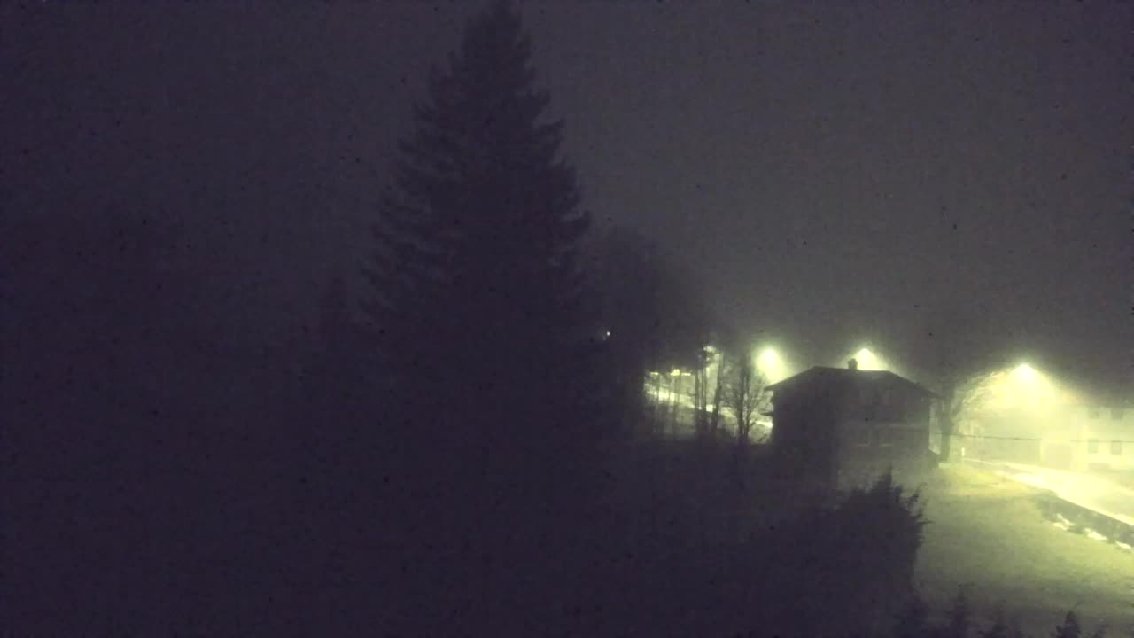 Camera en vivo Lokve – La belleza del bosque de Trnovo