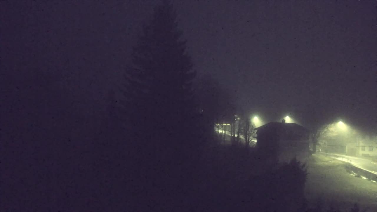 Webcam Loqua / Lokve – La bellezza della selva di Tarnova