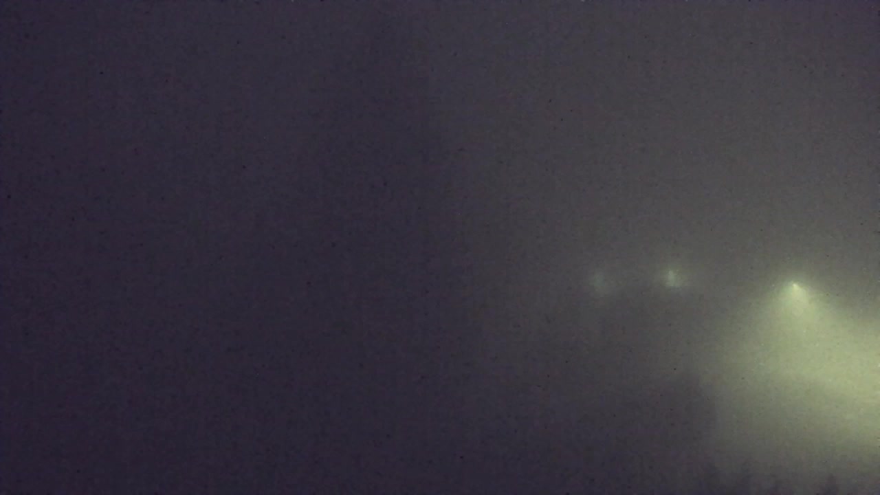 Webcam Loqua / Lokve – La bellezza della selva di Tarnova