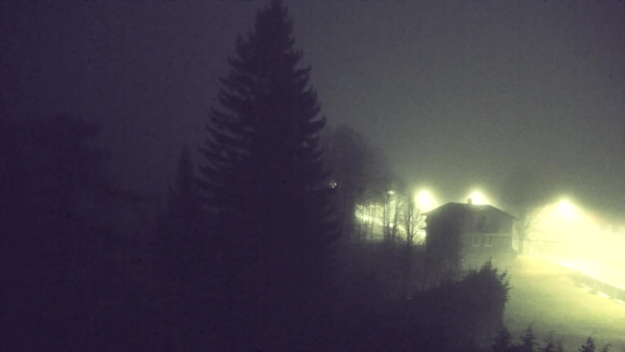 Camera en vivo Lokve – La belleza del bosque de Trnovo