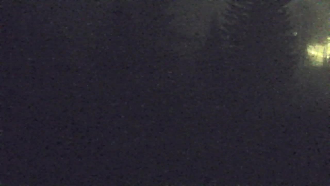 Webcam Lokve – Die Schönheit des Trnovo-Waldes