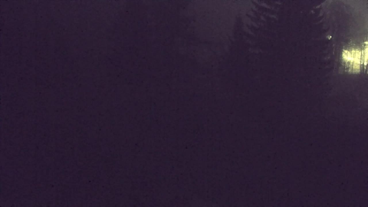 Webcam Lokve – Die Schönheit des Trnovo-Waldes