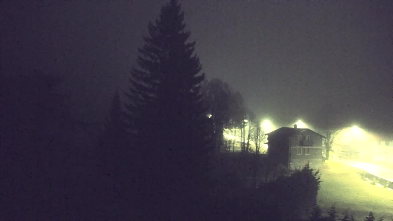 Webcam Lokve – La beauté de la forêt de Trnovo