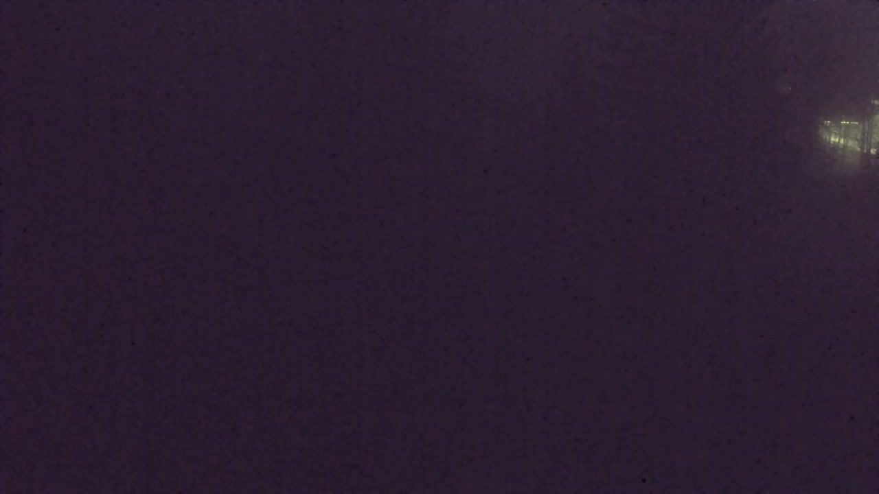 Camera en vivo Lokve – La belleza del bosque de Trnovo