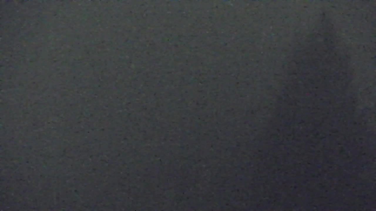 Webcam Loqua / Lokve – La bellezza della selva di Tarnova