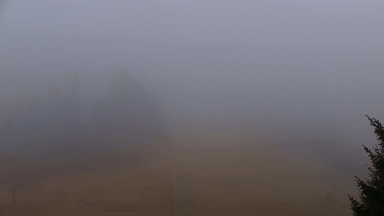 Webcam Lokve – The beauty of the Trnovo forest