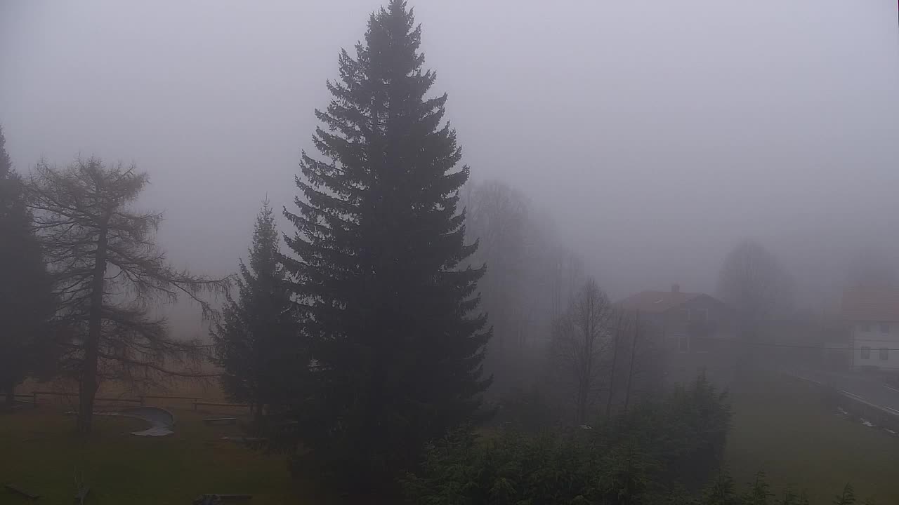 Webcam Lokve – The beauty of the Trnovo forest