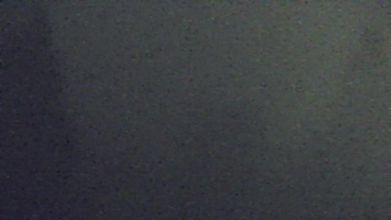 Webcam Lokve – The beauty of the Trnovo forest