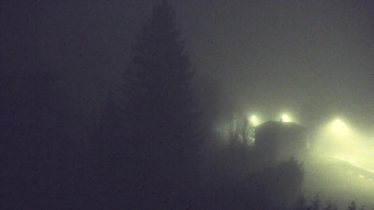 Webcam Lokve – The beauty of the Trnovo forest