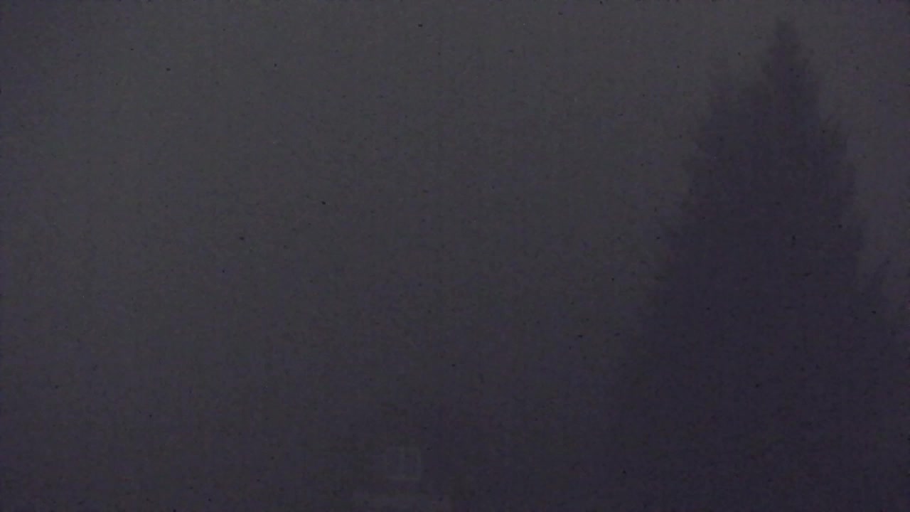 Webcam Lokve – The beauty of the Trnovo forest