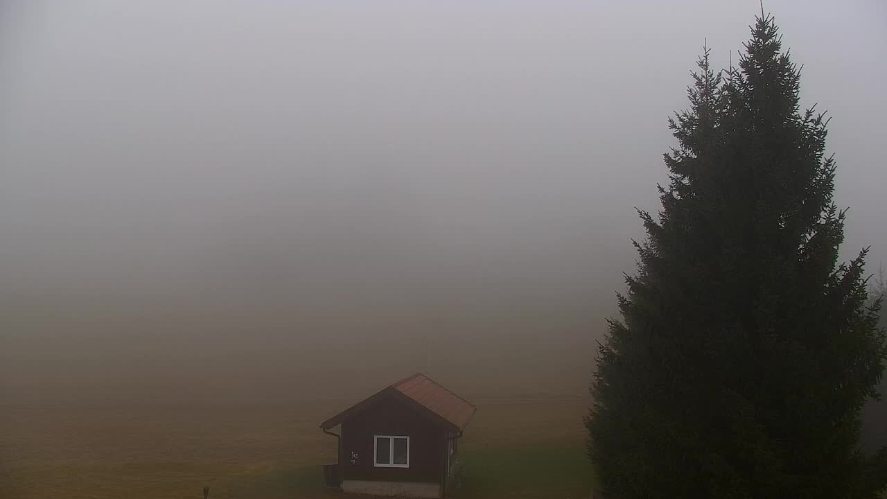 Webcam Lokve – Die Schönheit des Trnovo-Waldes