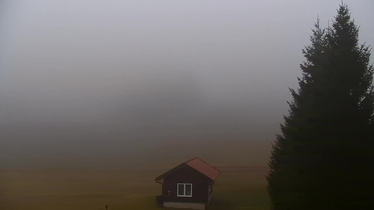 Webcam Lokve – La beauté de la forêt de Trnovo