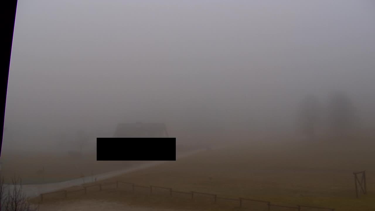 Webcam Loqua / Lokve – La bellezza della selva di Tarnova