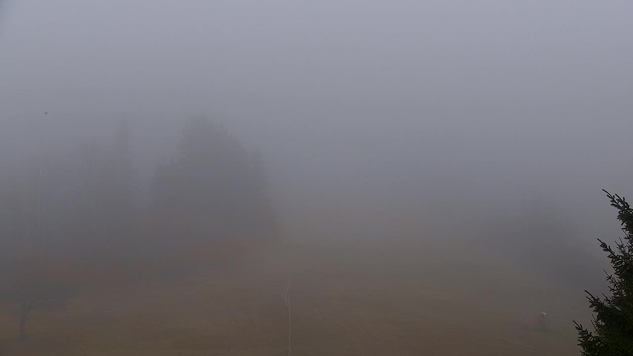 Webcam Lokve – The beauty of the Trnovo forest