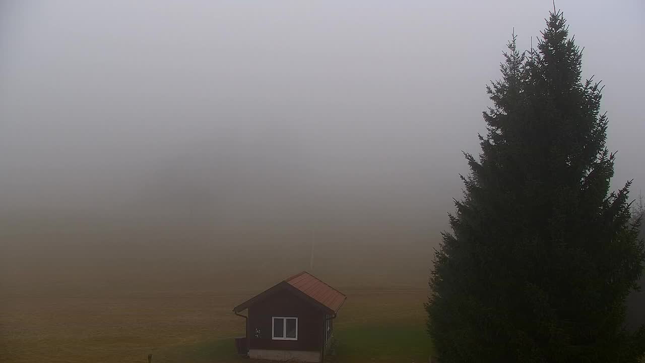 Webcam Lokve – La beauté de la forêt de Trnovo