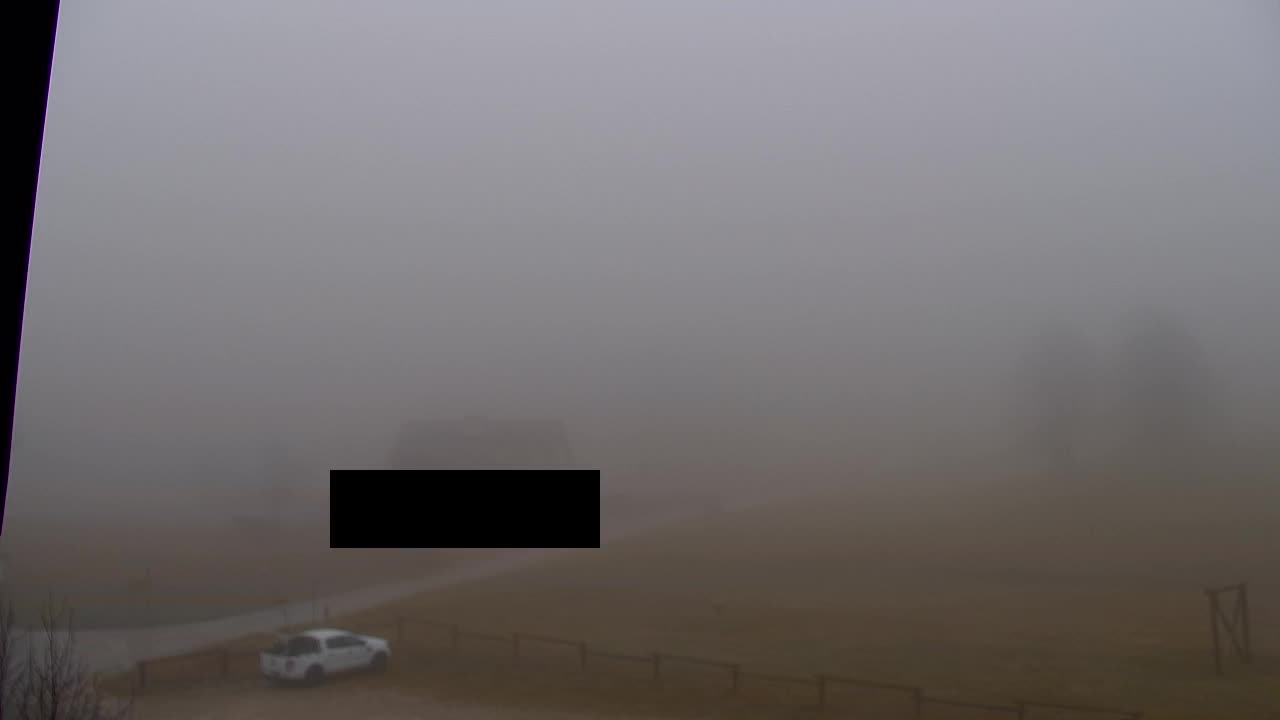 Web kamera Lokve – Ljepota Trnovske šume