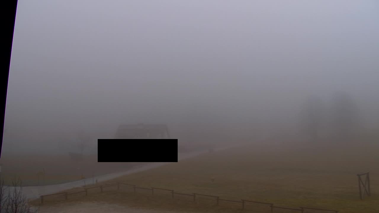 Webcam Lokve – Die Schönheit des Trnovo-Waldes